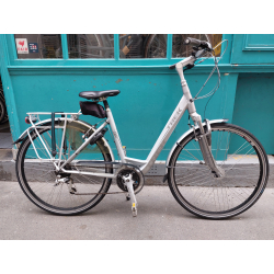 Trek T300