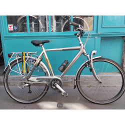 Gazelle Medeo 24 vitesses