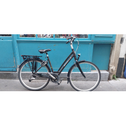 Gazelle Fuente XS