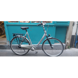 Gazelle Orange XL