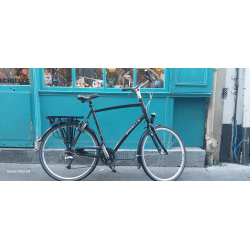 Gazelle XXL Fuente