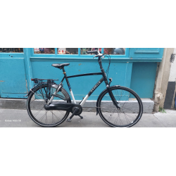 Gazelle Chamonix confort XL
