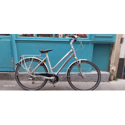 Trek T300
