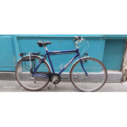 Giant Freerider