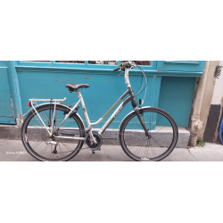 Trek T600