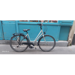 Koga Miyata Light Speed