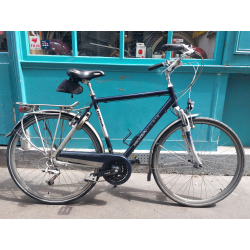 Koga Miyata Balance