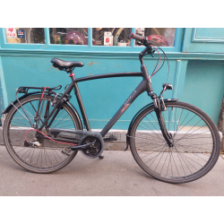 Gazelle Vento
