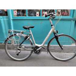 Gazelle Lausanne Lite