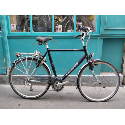 Batavus Kayenta X light