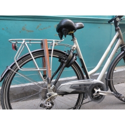 Gazelle Noble