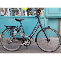 Koga Prominence T59