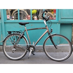 Gazelle Fuente