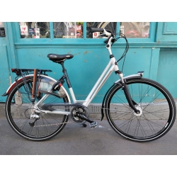 Gazelle Allure