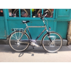 Gazelle Medeo XL