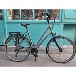 Gazelle Chamonix T30